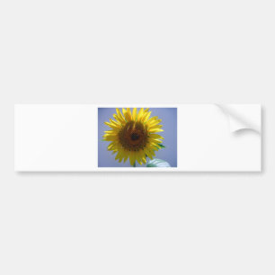 Yellow Sunflower Bumper Sticker