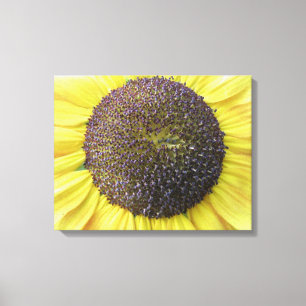 Yellow Sunflower Canvas Print