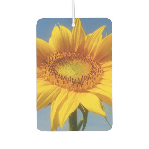 Yellow Sunflower Car Air Freshener