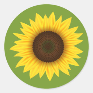 Yellow Sunflower Cartoon Illustration On Green Classic Round Sticker