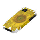 Yellow Sunflower