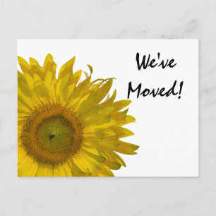 Yellow Sunflower Change of Address Announcement Postcard