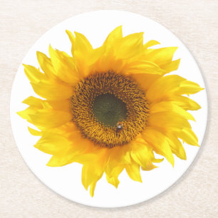 yellow sunflower coaster