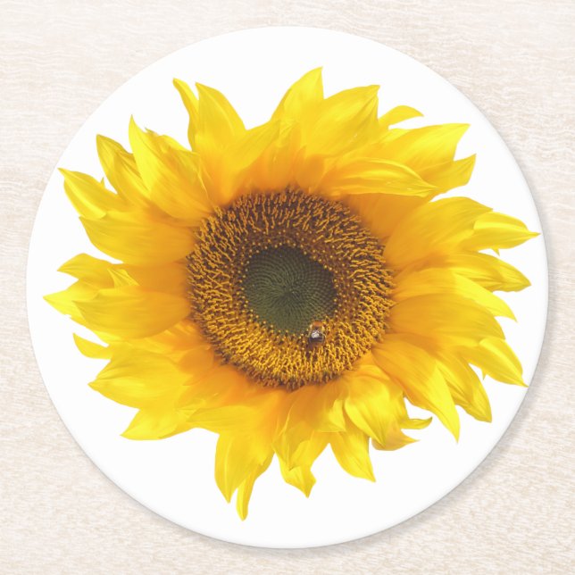 yellow sunflower coaster (Front)