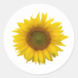 Yellow Sunflower Country Rustic Classic Round Sticker