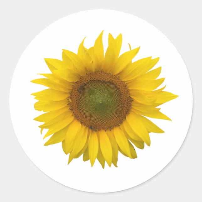 Yellow Sunflower Country Rustic Classic Round Sticker (Front)