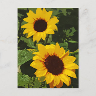 Yellow sunflower design postcard