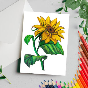 Yellow Sunflower Drawing Colored Pencil Postcard