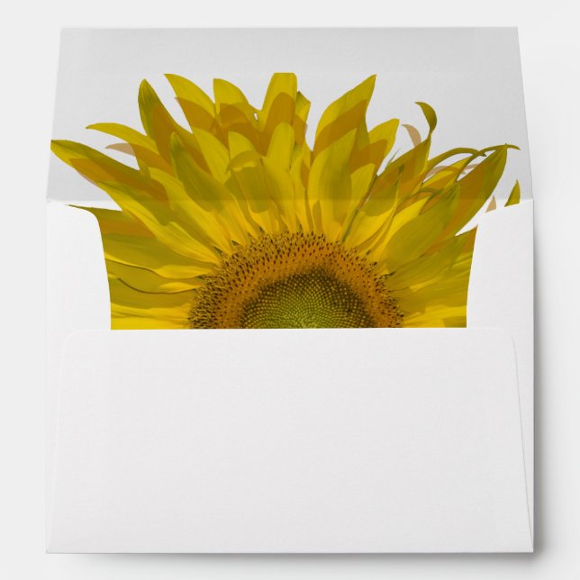 Yellow Sunflower Envelopes (Back (Bottom))