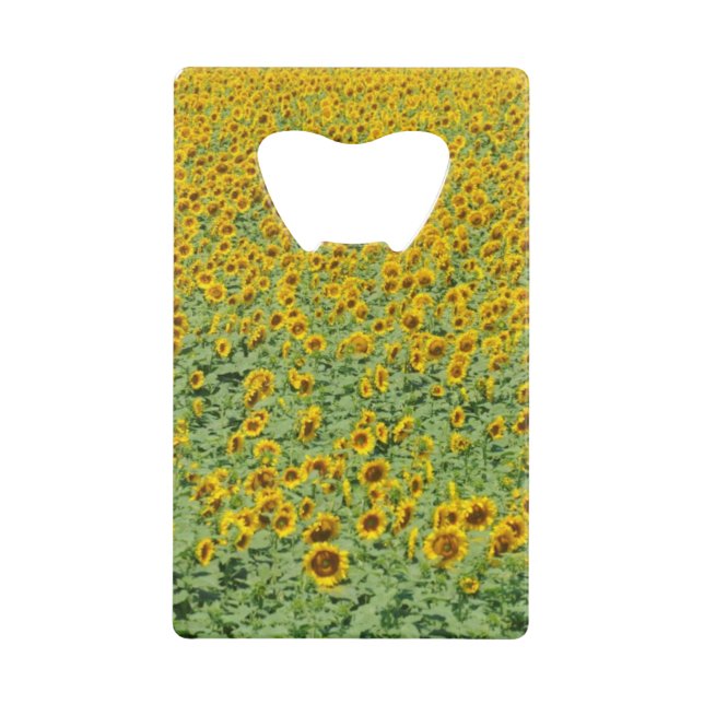 Yellow Sunflower Field (Front)