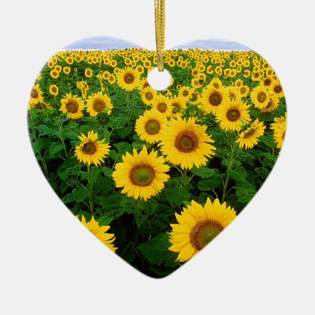 Yellow Sunflower Field Blue Sky Ceramic Tree Decoration (Front)