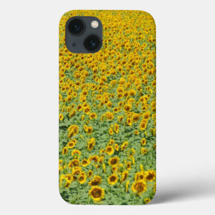 Yellow Sunflower Field iPhone 13 Case