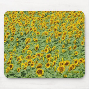 Yellow Sunflower Field Mouse Mat