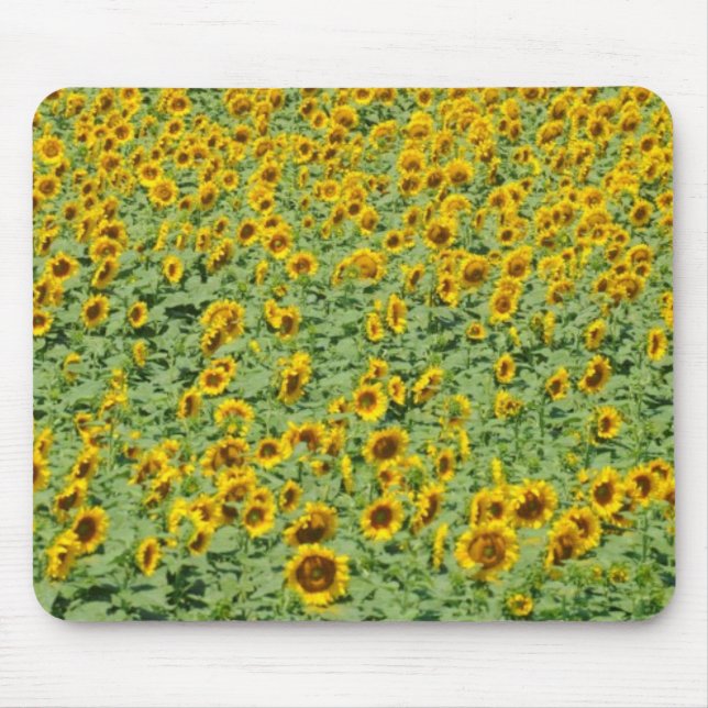 Yellow Sunflower Field Mouse Mat (Front)