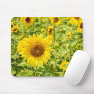 Yellow Sunflower Field Mouse Mat