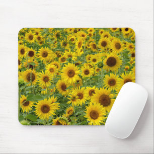 Yellow Sunflower Field Mouse Mat