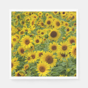 Yellow Sunflower Field Napkin