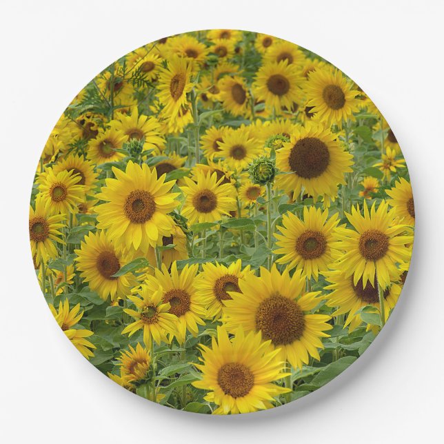 Yellow Sunflower Field Paper Plate (Front)