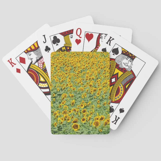 Yellow Sunflower Field Playing Cards (Back)