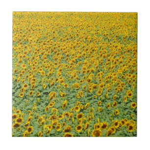 Yellow Sunflower Field Tile