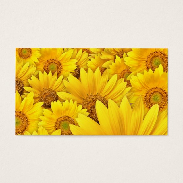Yellow Sunflower Fields (Front)