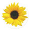 Yellow Sunflower Flower Envelope Seal Stickers