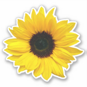 Yellow Sunflower Flower Kiss-Cut Sticker