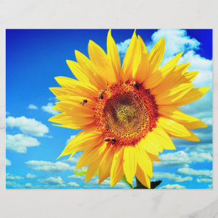 Yellow Sunflower Flyer
