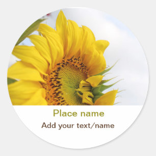 Yellow sunflower garden add photo text name travel classic round sticker