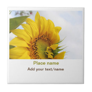 Yellow sunflower garden add photo text name travel tile