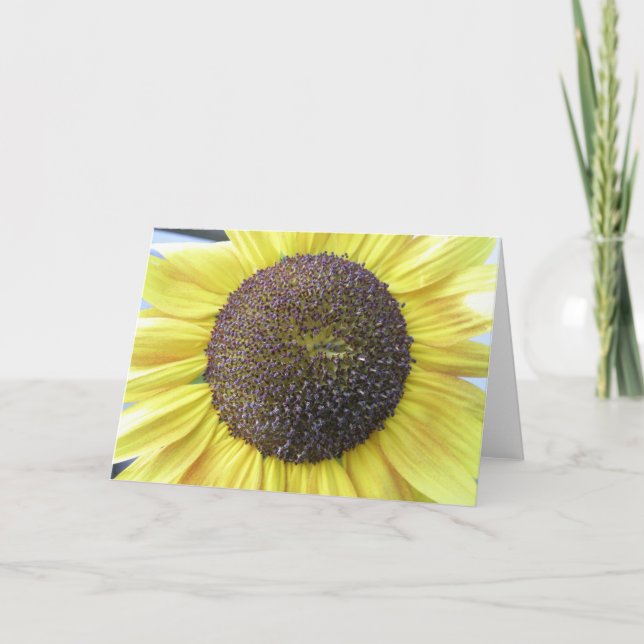 Yellow Sunflower Greeting Card (Front)