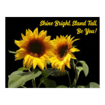 Yellow Sunflower Inspirational Poster