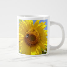 Yellow Sunflower