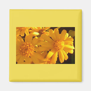 Yellow Sunflower Magnet