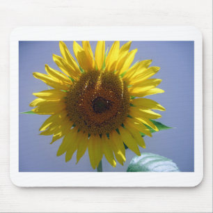 Yellow Sunflower Mouse Mat