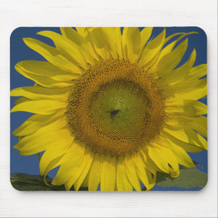 Yellow Sunflower Mouse Mat