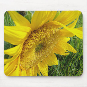 Yellow sunflower mousepad
