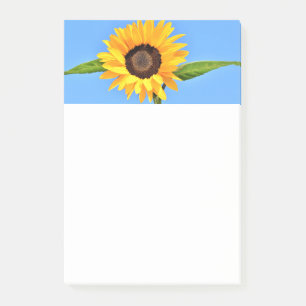 Yellow Sunflower on Blue Sky Sticky Notes