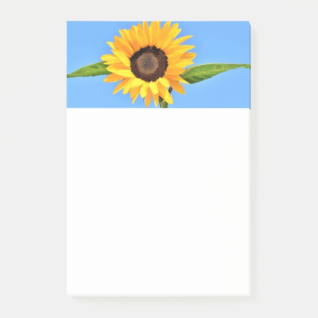Yellow Sunflower on Blue Sky Sticky Notes (Front)
