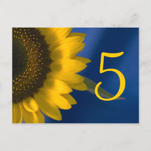 Yellow Sunflower on Blue Table Number Postcard
