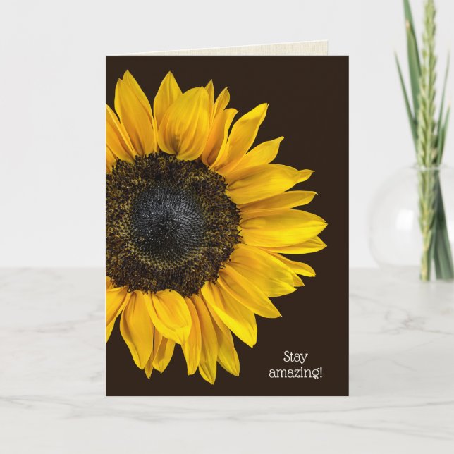 yellow sunflower on dark brown birthday card (Front)