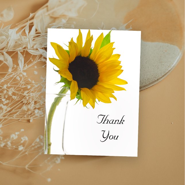 Yellow Sunflower on White Thank You Postcard (Creator Uploaded)
