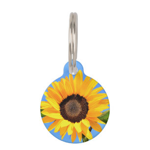 Yellow Sunflower Pet ID Tag