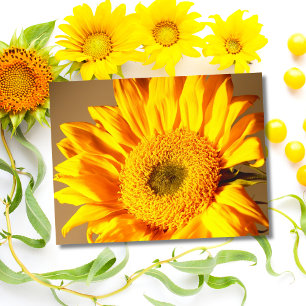 Yellow Sunflower Postcard