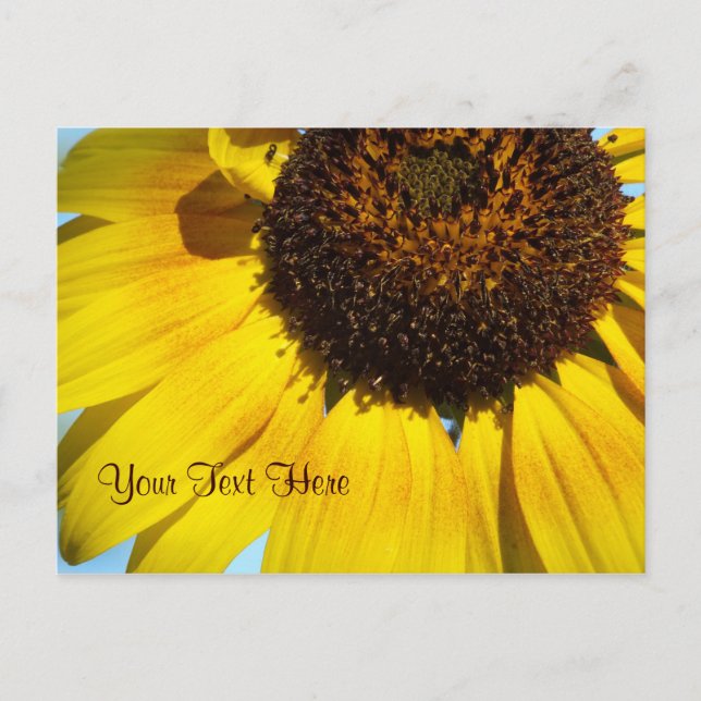 Yellow Sunflower Postcard. -Personalizeable Postcard (Front)