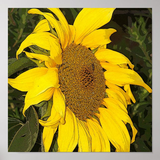 Yellow Sunflower Print (Front)