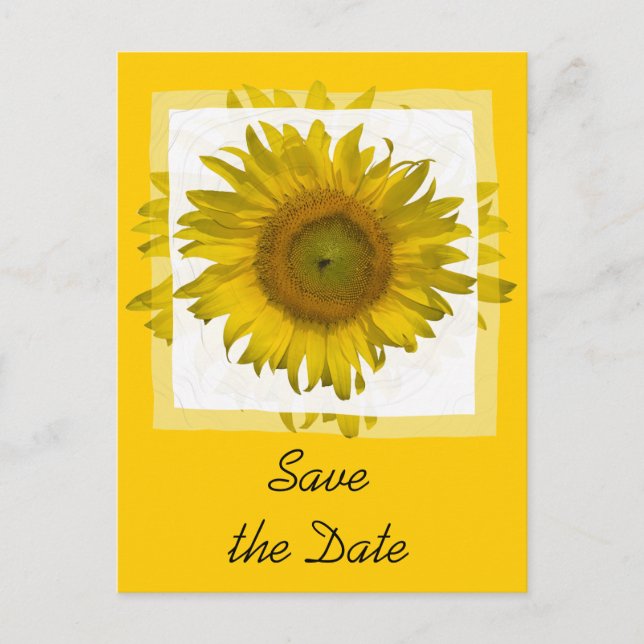 Yellow Sunflower Save the Date Announcement Postcard (Front)