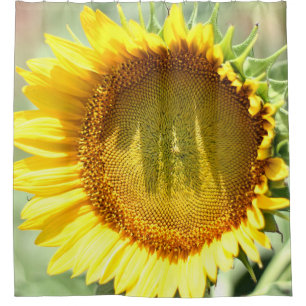 Yellow sunflower shower curtain