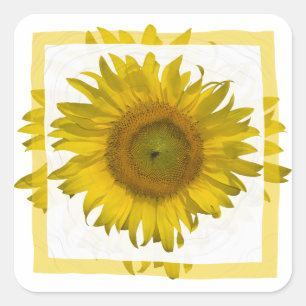 Yellow Sunflower  Square Sticker