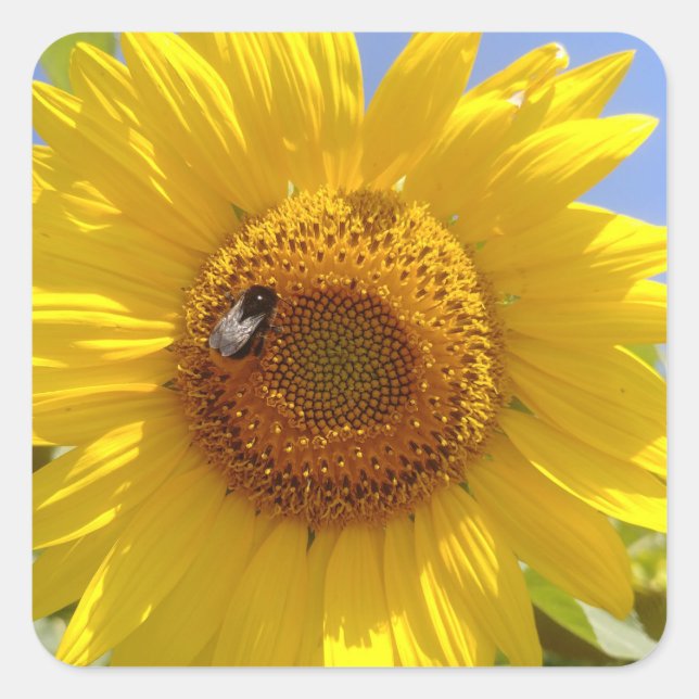 Yellow Sunflower Square Sticker (Front)